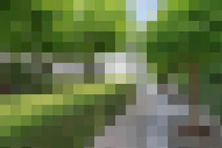 Mr K Bijlsmastraat 2 Franeker thumbnail 4