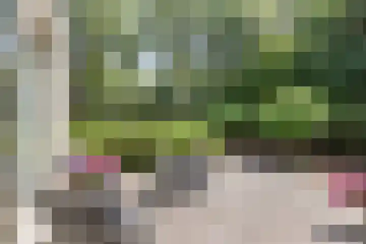 Mr K Bijlsmastraat 2 Franeker thumbnail 40