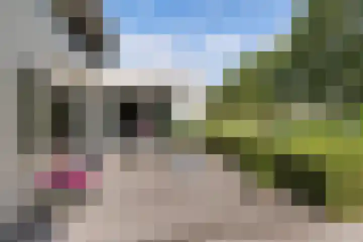 Mr K Bijlsmastraat 2 Franeker thumbnail 41