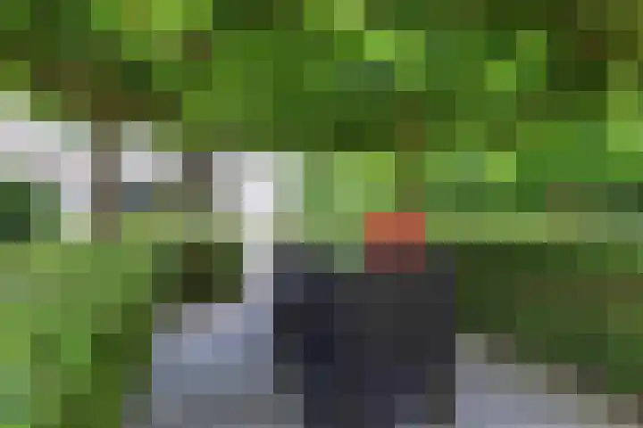 Mr K Bijlsmastraat 2 Franeker thumbnail 7