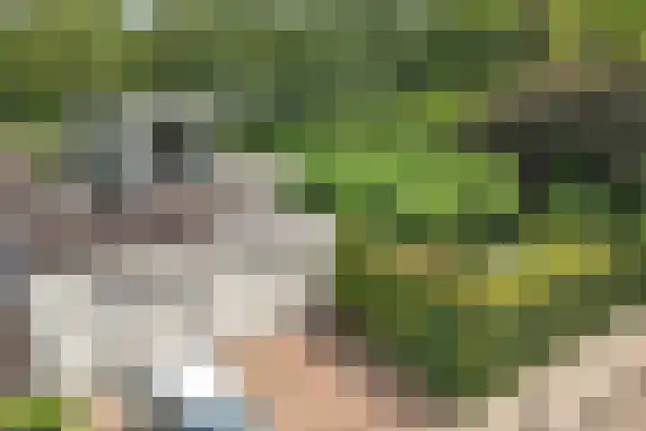 Mr K Bijlsmastraat 2 Franeker thumbnail 8