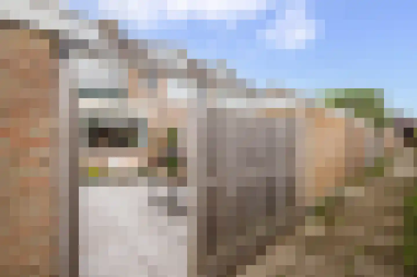 Mr. Kesperstraat 28 Schoonhoven thumbnail 36