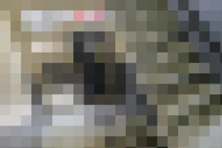 Mr. Kesperweg 108 Ridderkerk thumbnail 32