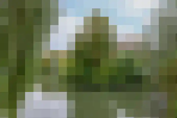 Mr. Kesperweg 108 Ridderkerk thumbnail 37