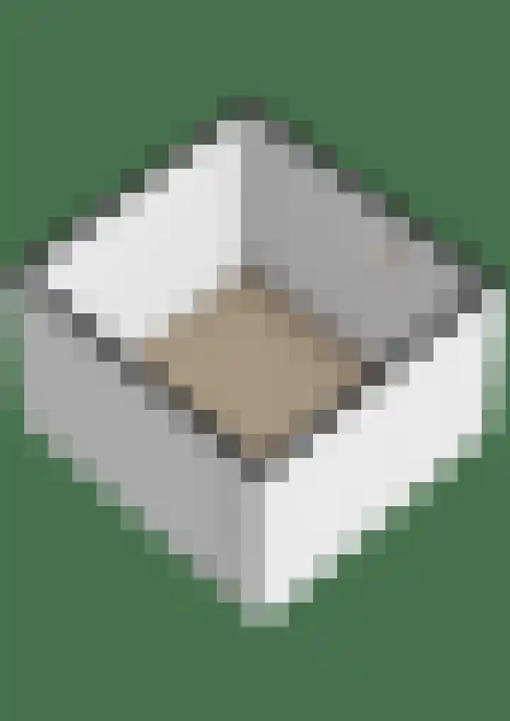 Mr. Kesperweg 108 Ridderkerk thumbnail 42