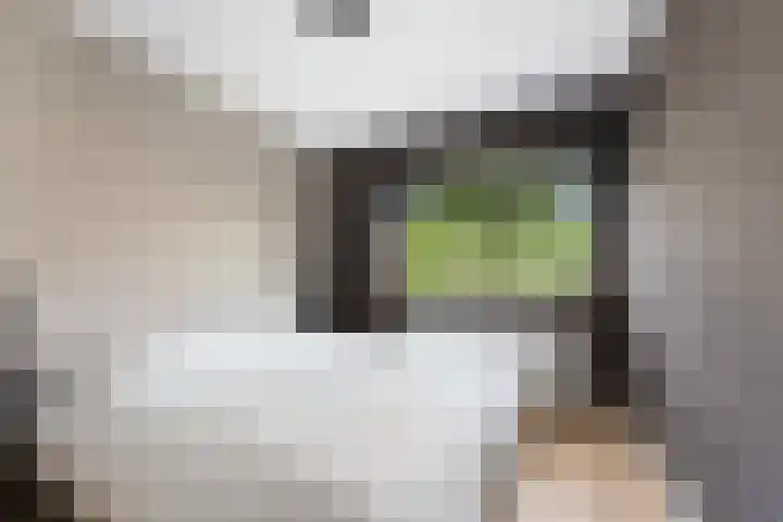 Mr. Kesperweg 130 Ridderkerk thumbnail 25