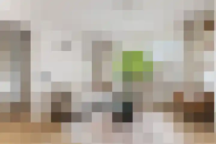Mr. Kesperweg 130 Ridderkerk thumbnail 7