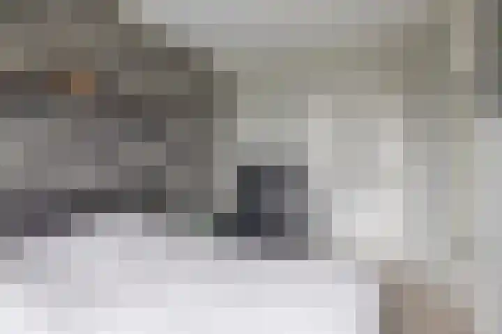 Mr. Kesperweg 158 Ridderkerk thumbnail 20