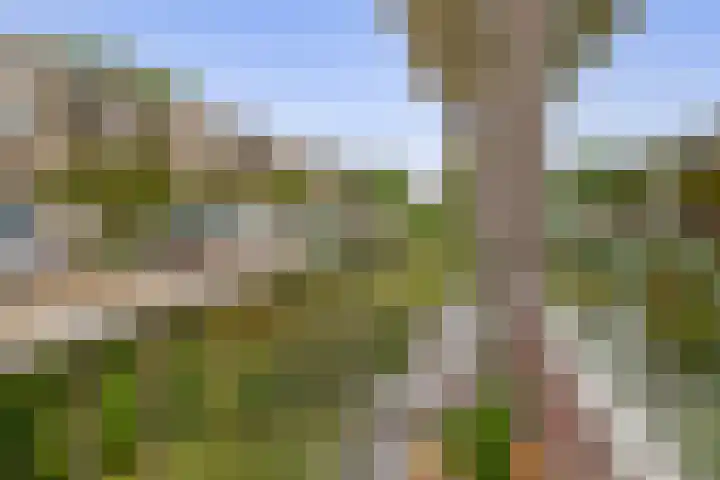 Mr. Kesperweg 158 Ridderkerk thumbnail 33