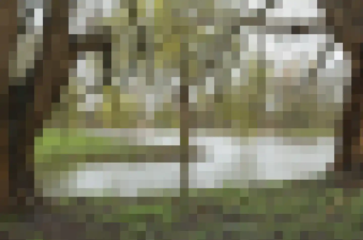 Mr. Kesperweg 198 Ridderkerk thumbnail 32