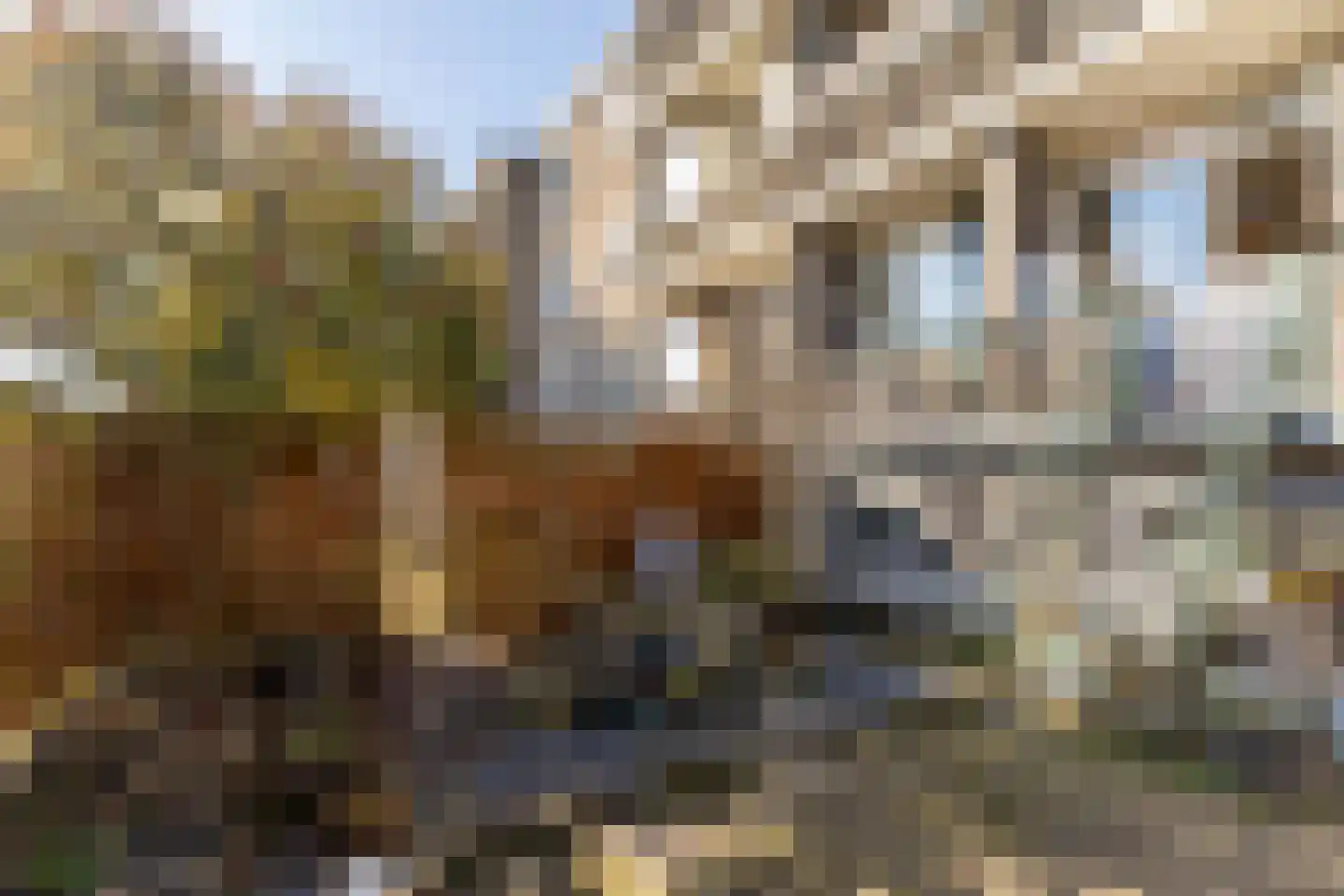 Mr. Kesperweg 56 Ridderkerk thumbnail 23