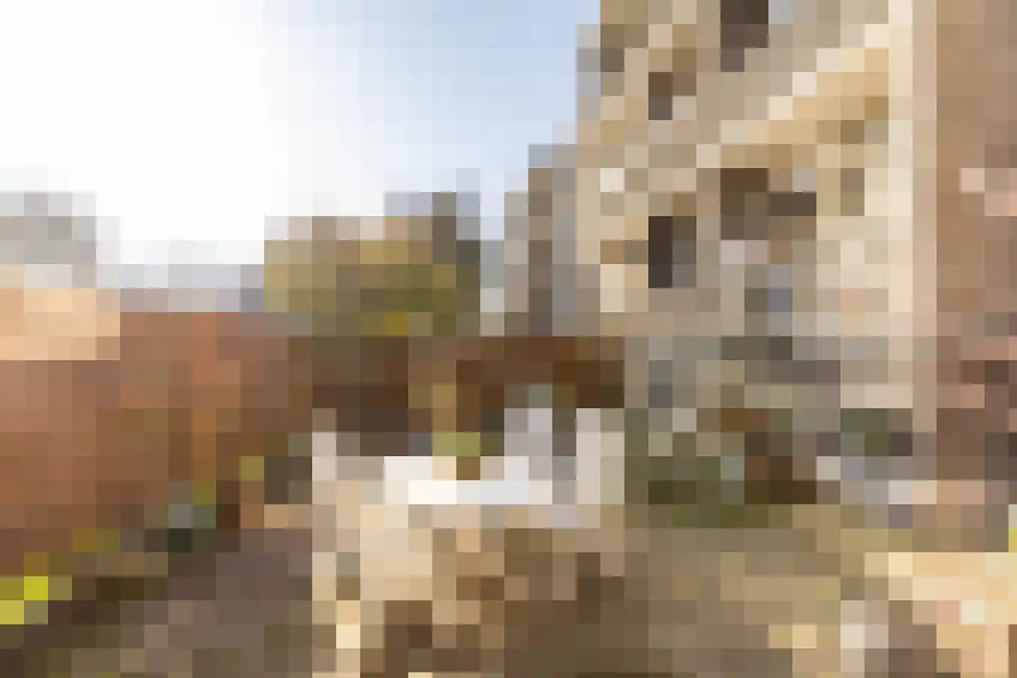Mr. Kesperweg 56 Ridderkerk thumbnail 24