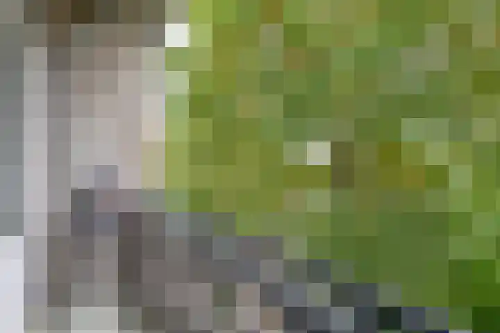 Mr. Kesperweg 84 Ridderkerk thumbnail 24