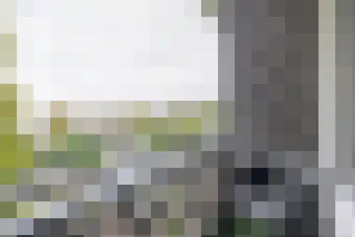 Mr. Kesperweg 84 Ridderkerk thumbnail 29