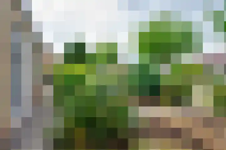 Mr. L.A. Donkerstraat 6 Almkerk thumbnail 5