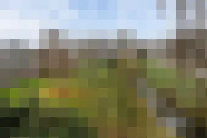 mr. L.A. Kesperweg 1 B Vlaardingen thumbnail 4