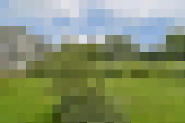 mr. L.A. Kesperweg 19 A Vlaardingen thumbnail 23