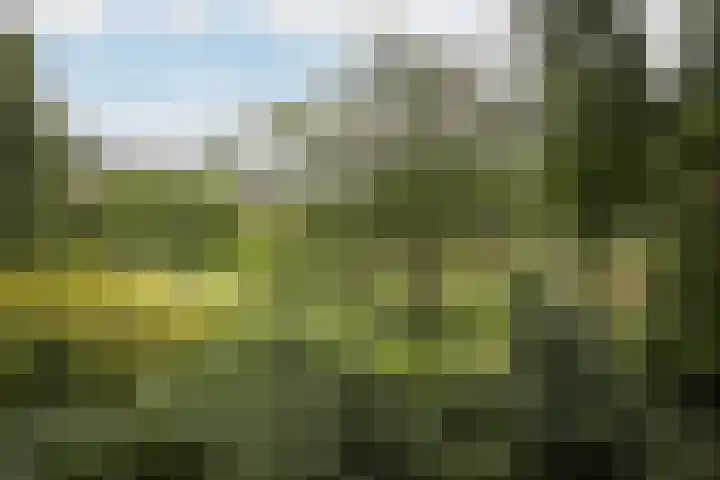 mr. L.A. Kesperweg 3 B Vlaardingen thumbnail 13