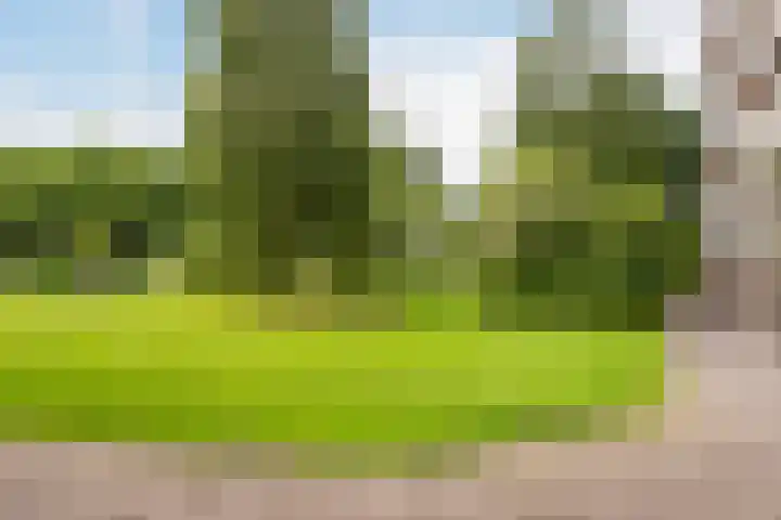 mr. L.A. Kesperweg 3 B Vlaardingen thumbnail 25