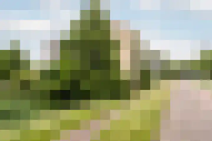 mr. L.A. Kesperweg 3 B Vlaardingen thumbnail 27