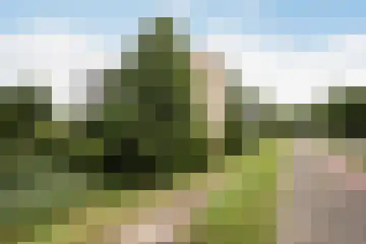 mr. L.A. Kesperweg 3 B Vlaardingen thumbnail 5