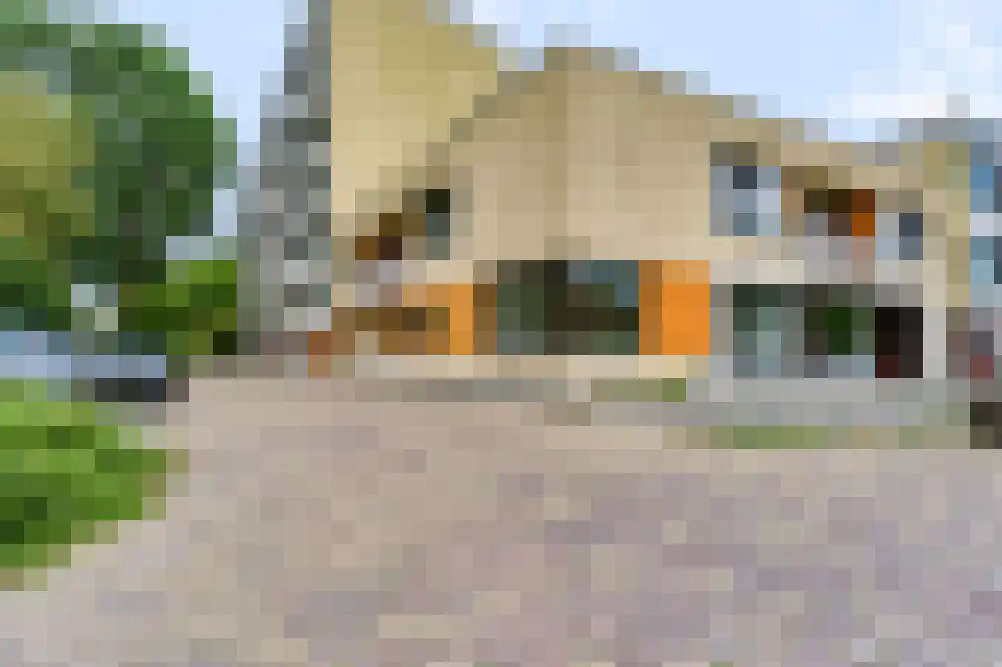 mr. L.A. Kesperweg 31 A Vlaardingen thumbnail 6