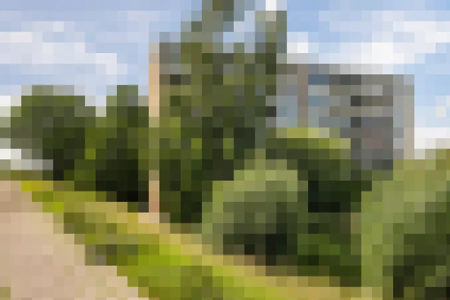 mr. L.A. Kesperweg 5 B Vlaardingen thumbnail 5