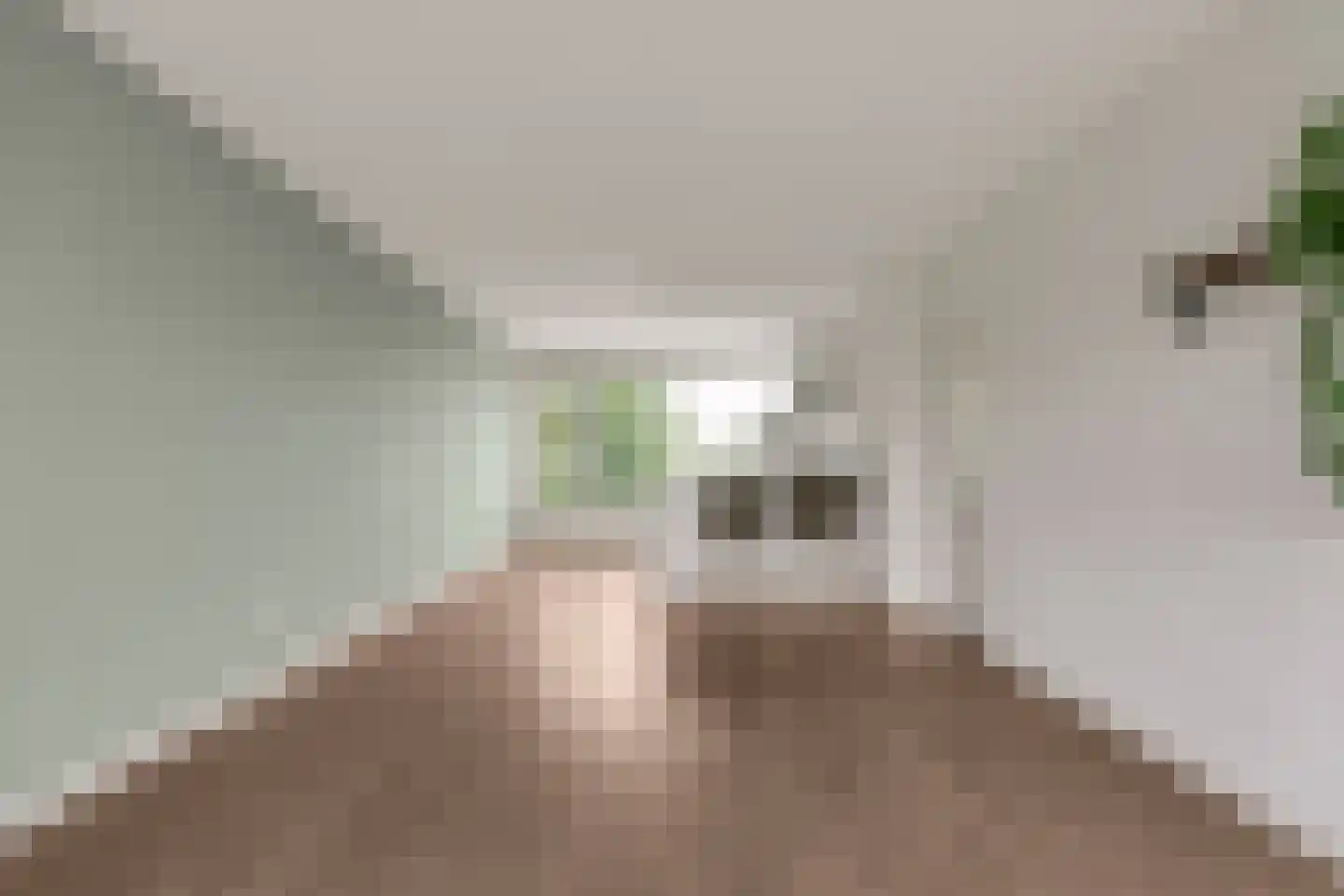mr. L.A. Kesperweg 5 D Vlaardingen thumbnail 17