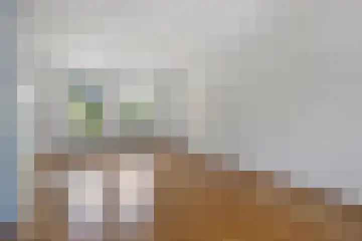 Mr. Luybenstraat 27 Waalwijk thumbnail 7