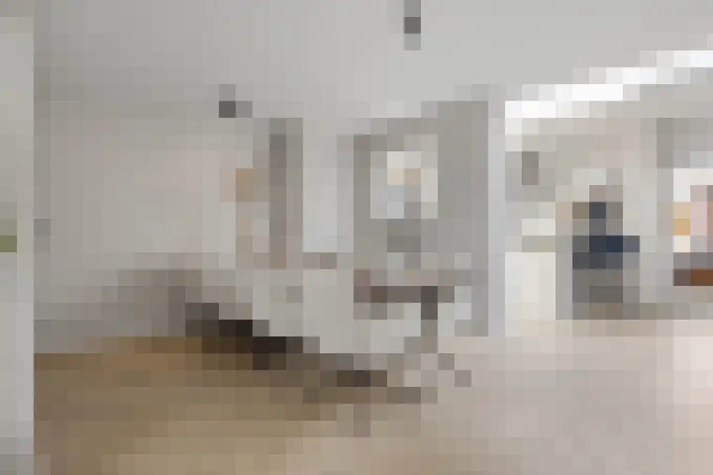 Mr. Luybenstraat 3 Waalwijk thumbnail 13