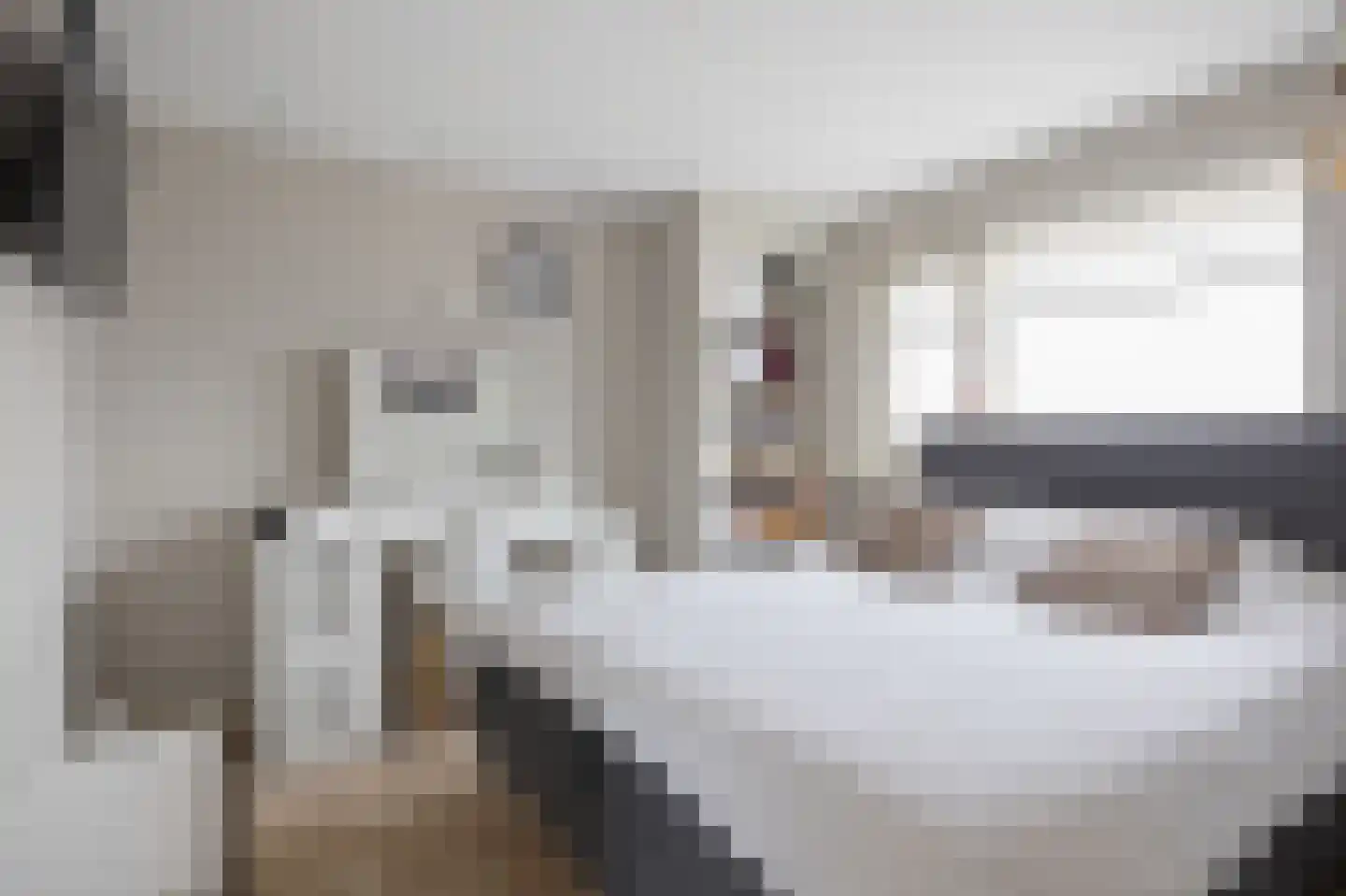 Mr. Luybenstraat 3 Waalwijk thumbnail 28