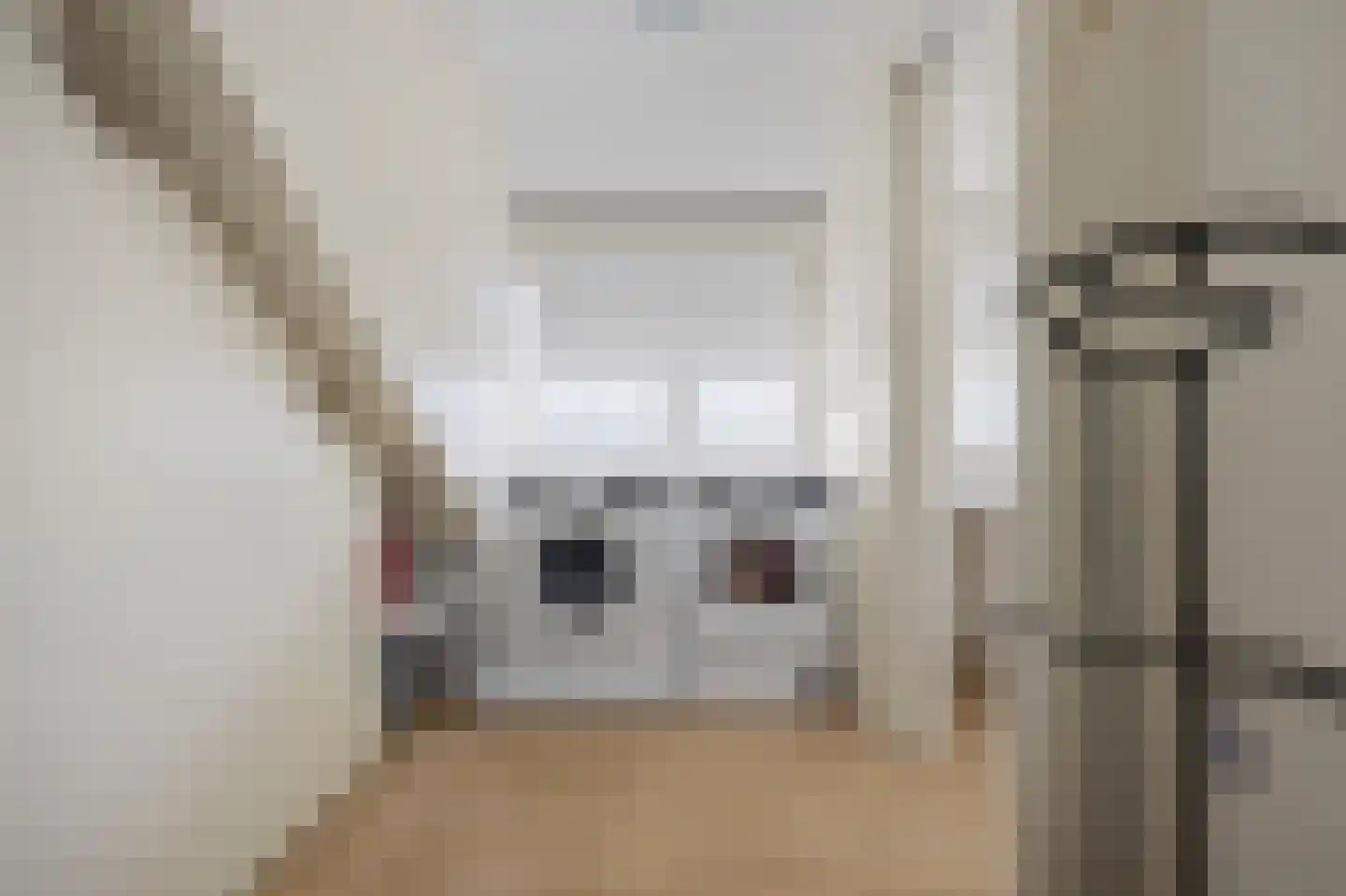 Mr. Luybenstraat 3 Waalwijk thumbnail 31