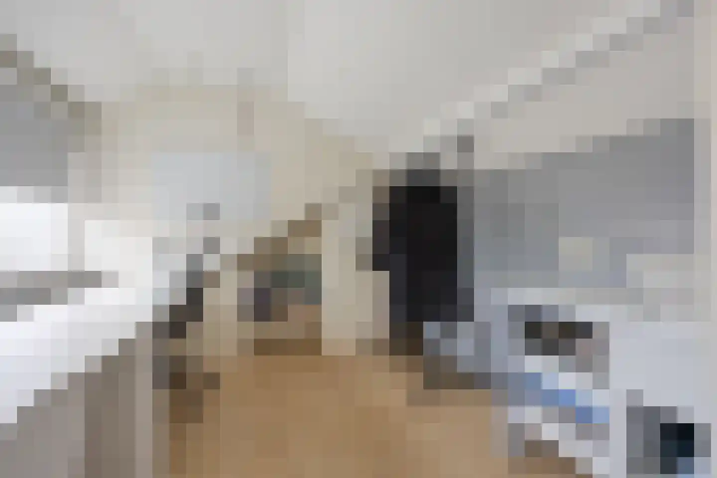 Mr. Luybenstraat 3 Waalwijk thumbnail 32