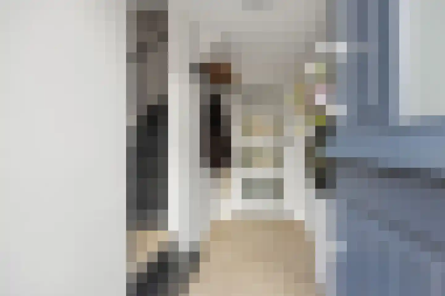 Mr. Luybenstraat 3 Waalwijk thumbnail 5