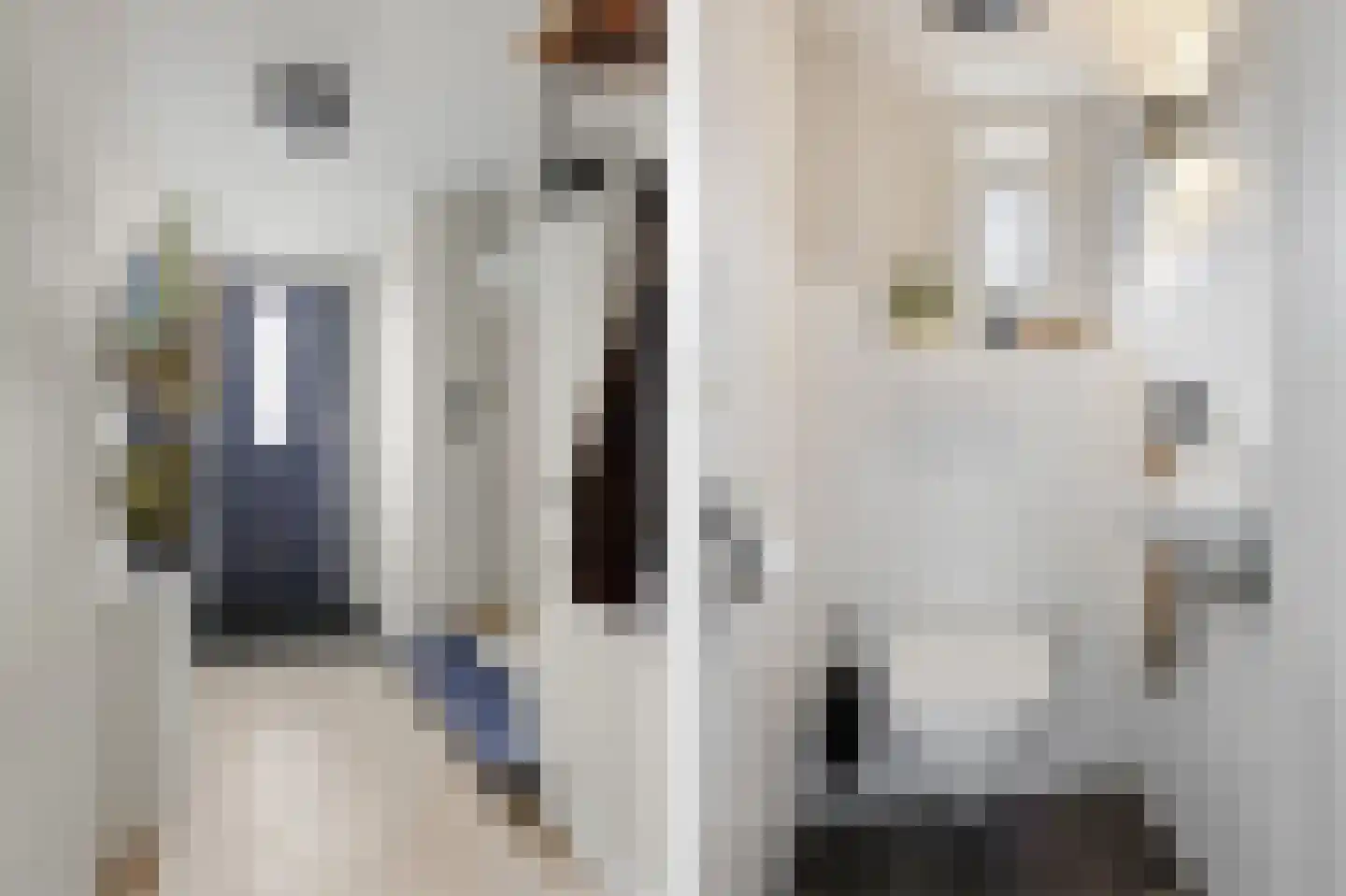 Mr. Luybenstraat 3 Waalwijk thumbnail 6