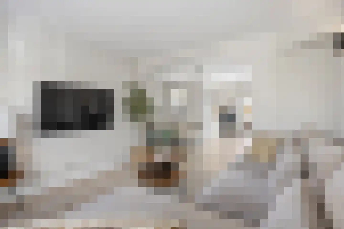 Mr. Luybenstraat 3 Waalwijk thumbnail 9