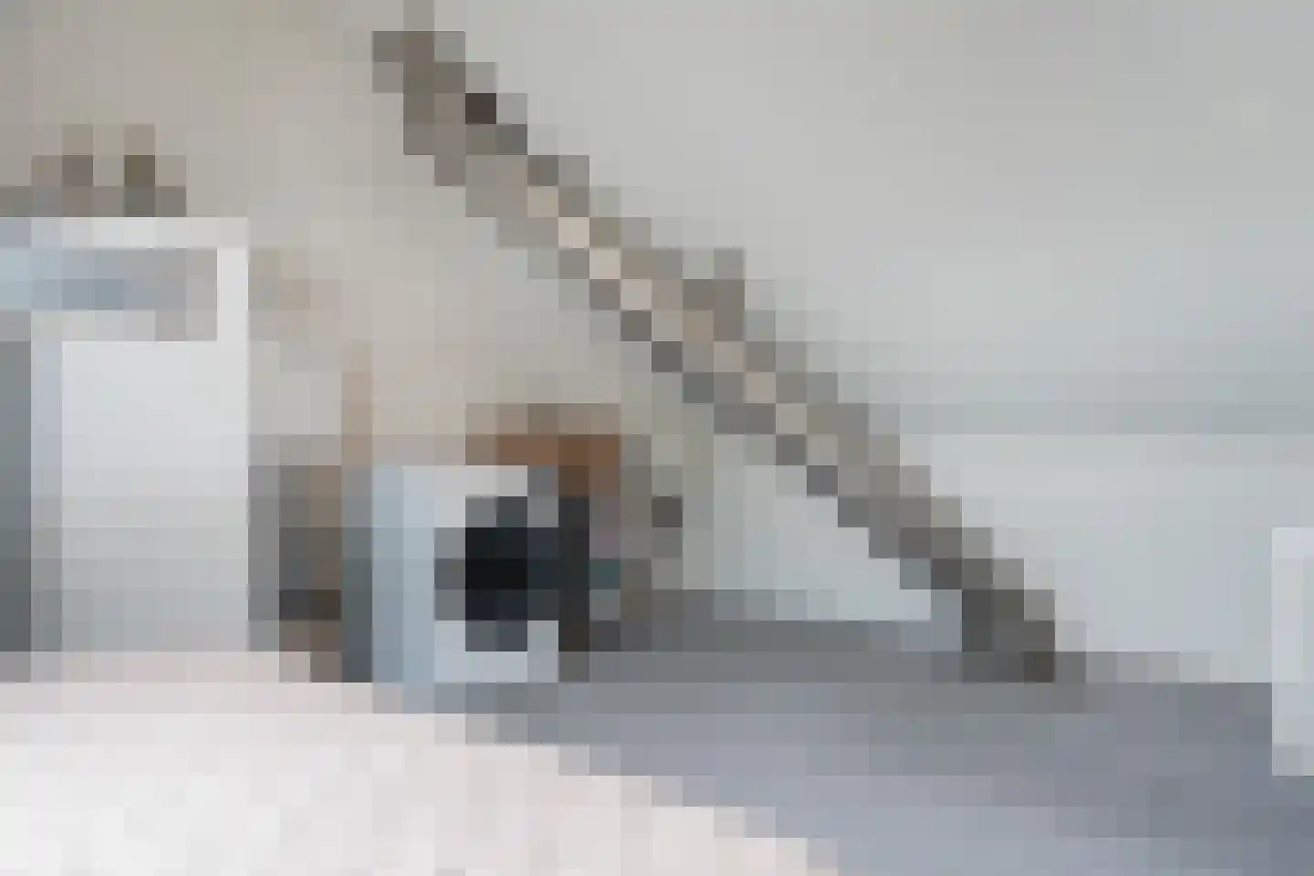 Mr Martin Alewijnstraat 4 Hoogersmilde thumbnail 38