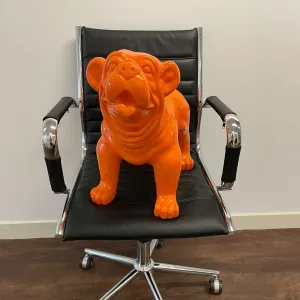 Photo of Mr. Max