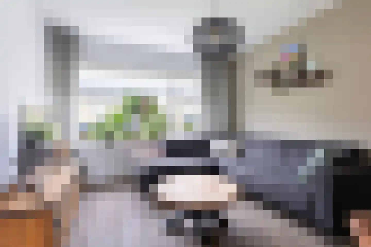 Mr. P.A. Bergsmastrjitte 8 Damwâld thumbnail 18