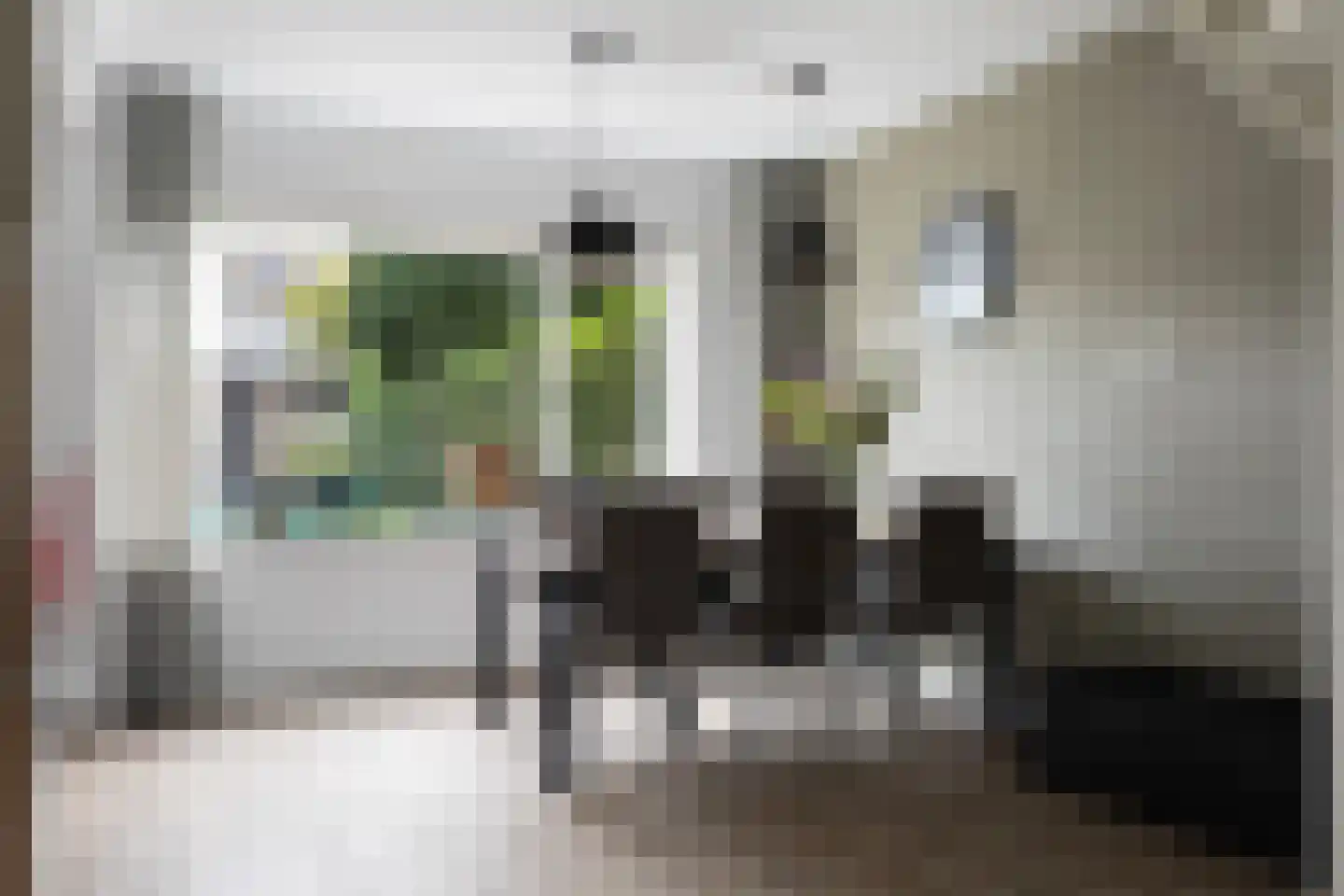 Mr. P.A. Bergsmastrjitte 8 Damwâld thumbnail 20