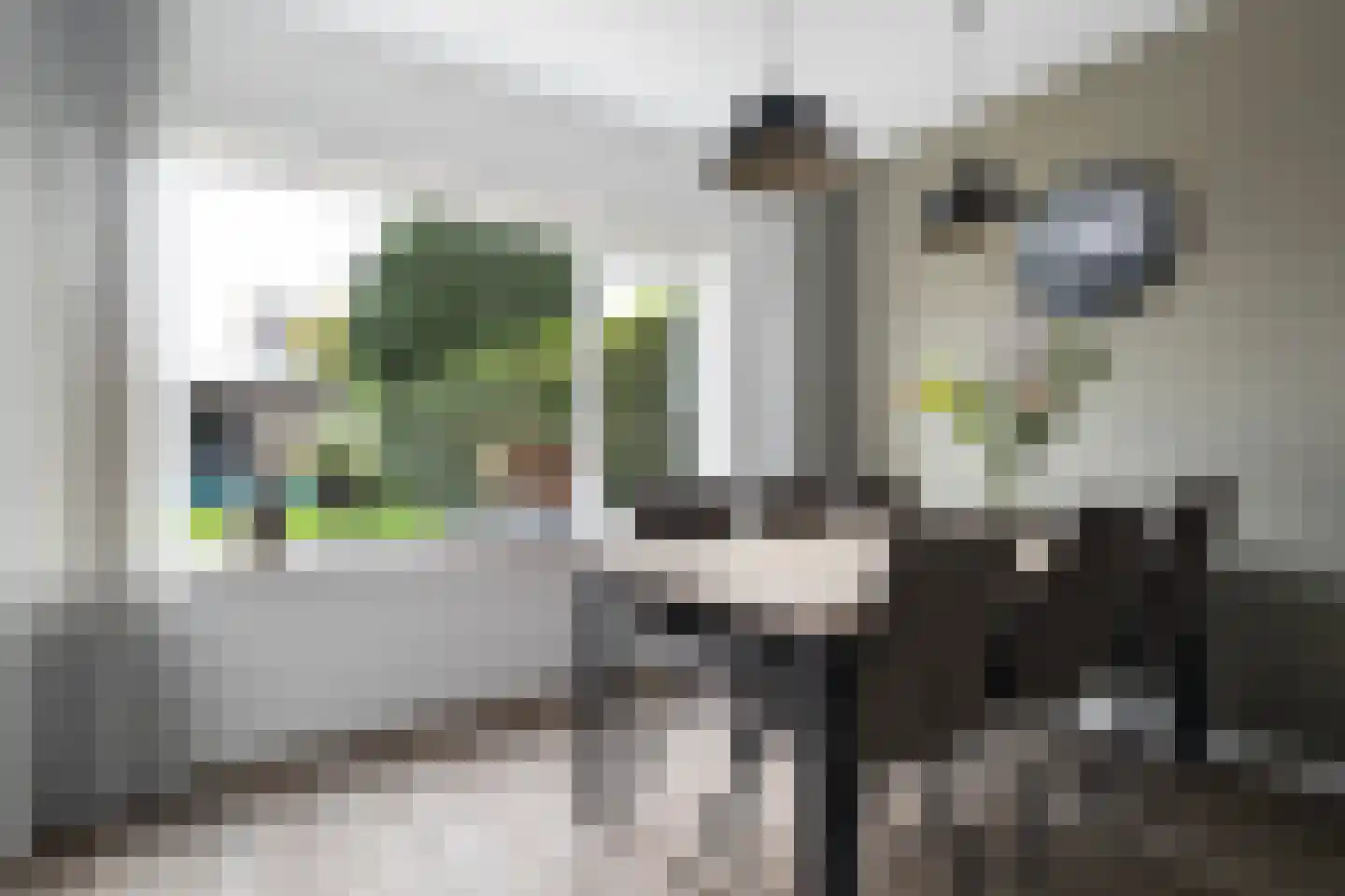Mr. P.A. Bergsmastrjitte 8 Damwâld thumbnail 21
