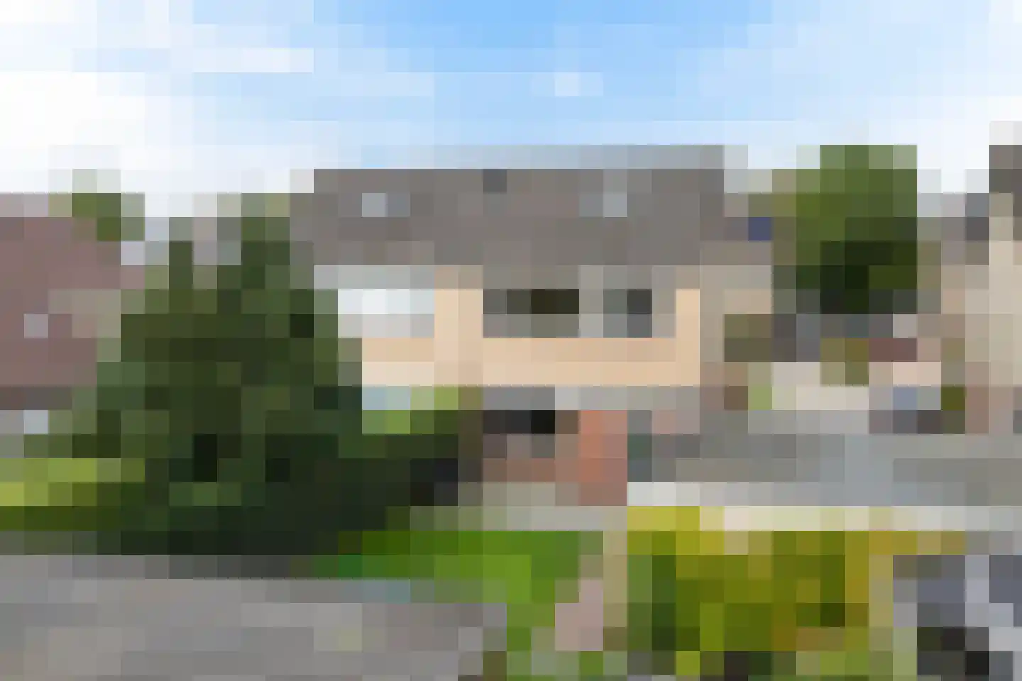 Mr. P.A. Bergsmastrjitte 8 Damwâld thumbnail 36