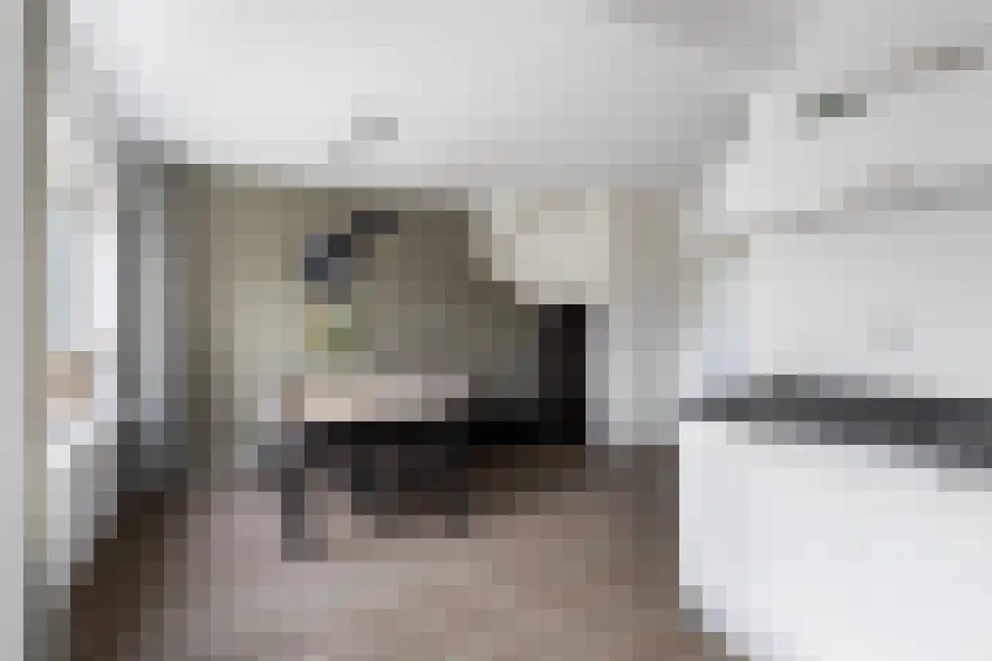 Mr. P.A. Bergsmastrjitte 8 Damwâld thumbnail 4