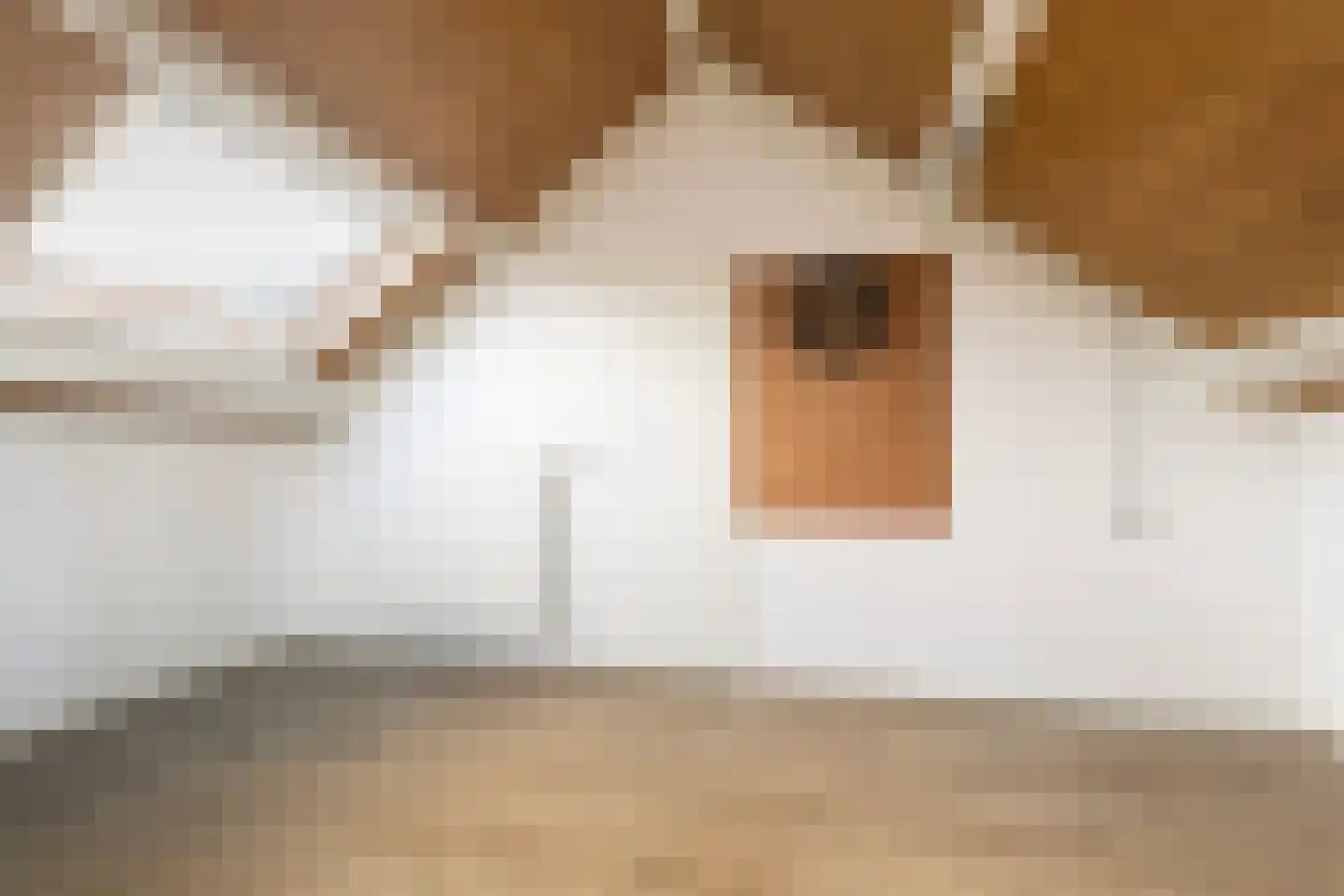 Mr. P.A. Bergsmastrjitte 8 Damwâld thumbnail 51