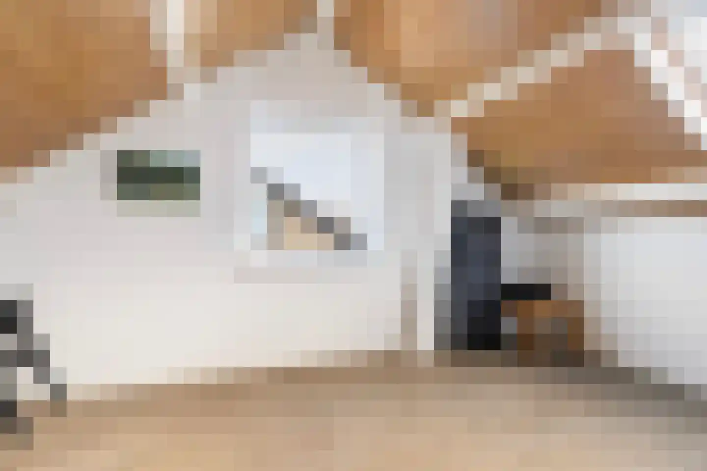 Mr. P.A. Bergsmastrjitte 8 Damwâld thumbnail 52