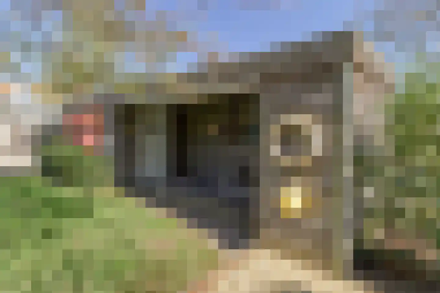 Mr. P.C. Hennequinlaan 19 Cadzand thumbnail 36