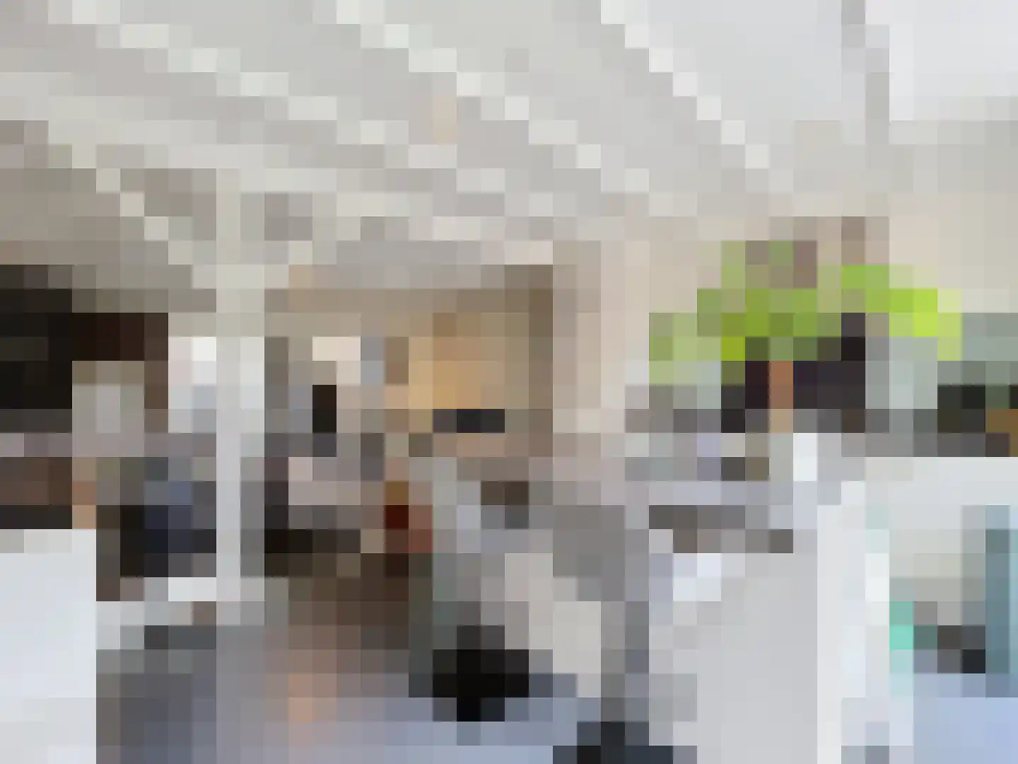 Mr. P.C. Hennequinstraat 10 Oostburg thumbnail 11