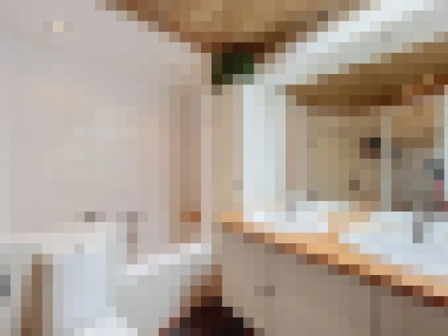 Mr. P.C. Hennequinstraat 10 Oostburg thumbnail 15