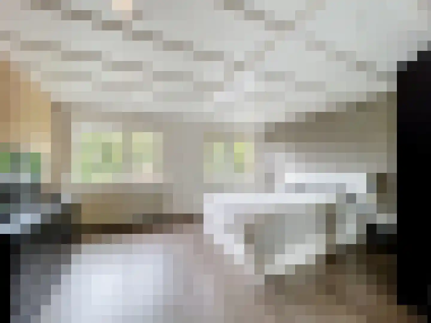 Mr. P.C. Hennequinstraat 10 Oostburg thumbnail 17