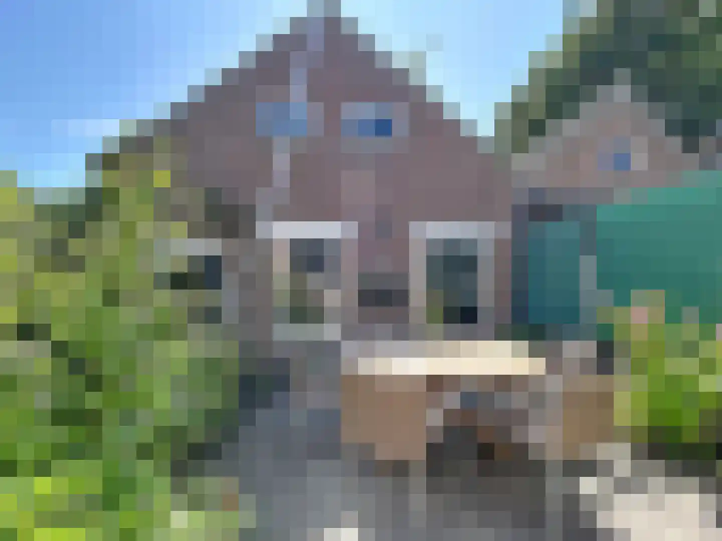 Mr. P.C. Hennequinstraat 10 Oostburg thumbnail 20